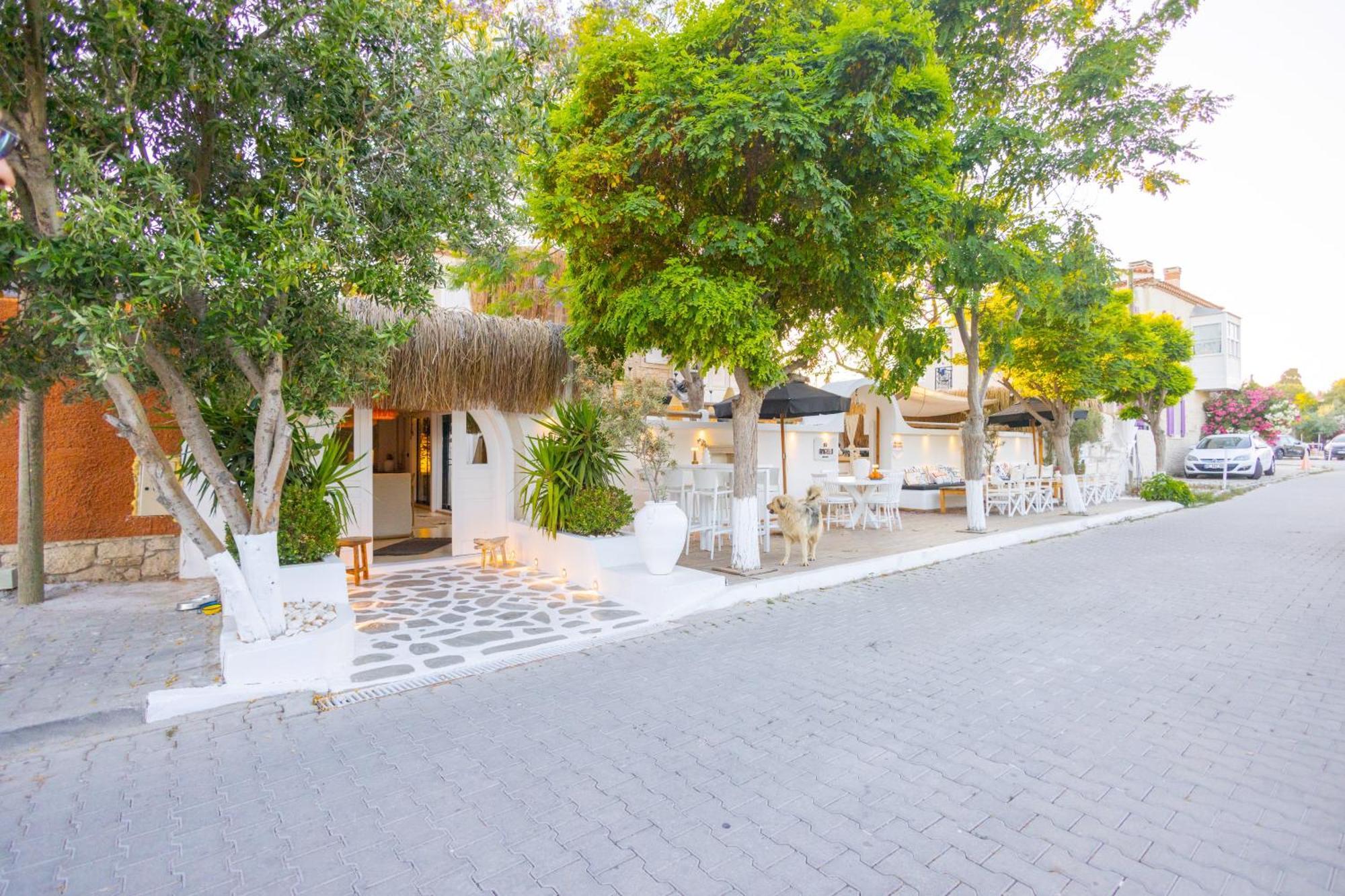 Zoe Alaçatı Exterior foto
